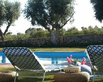 Villa Quinta do Funchal - Arraiolos - Piscina