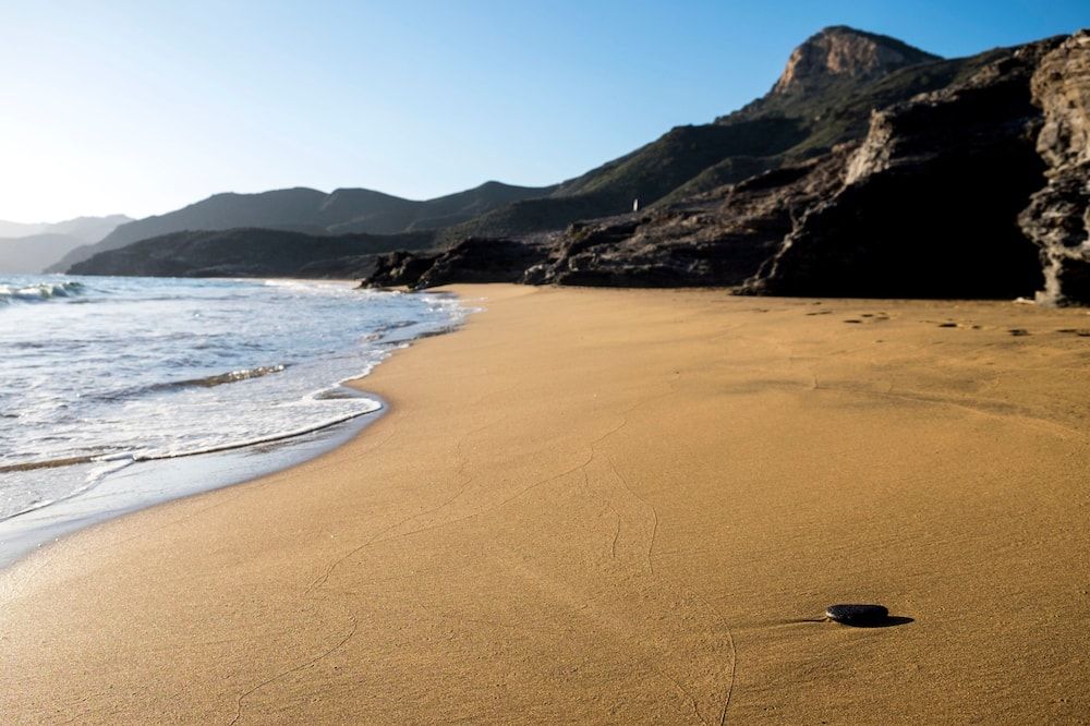 هوتل لاس جافيوتاس