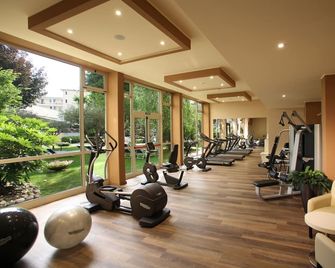 Hotel Savoia Thermae & Spa - Abano Terme - Gym