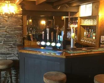 The Dolphin Inn - Kingsbridge - Bar