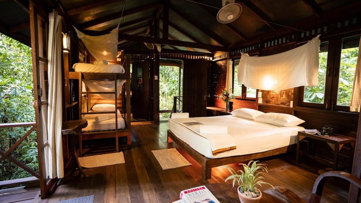 Our Jungle House