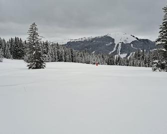 Morzine Studio, Chablais, The Portes Du Soleil - Morzine