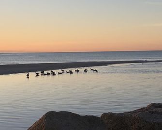 Newly renovated Cottage Across the street from Craigville Beach. - Barnstable - Beach