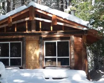 Rustic mountain retreat - escape to a hand-built cabin in the woods - Nevada City - Budova