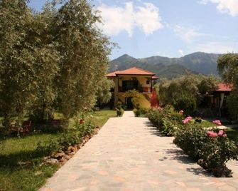 Hotel Maria - Chrisi Ammoudia - Venkovní prostory