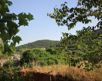 Apartments with parking space Zaglav, Dugi otok - 878 - Zaglav - Utsikt