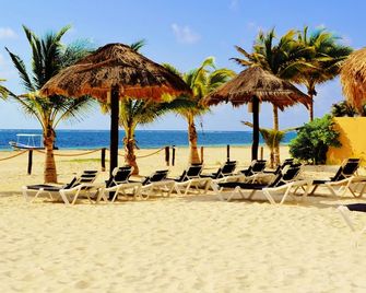 هوتل أريسيفيس سويتس - بويرتو موريلو - شاطئ