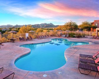 Art & Wilderness Converge - Oro Valley - Pool