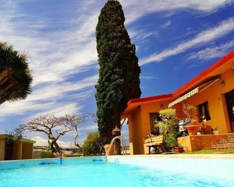 Lagarto Hostel Tenerife - Tejina - Pool