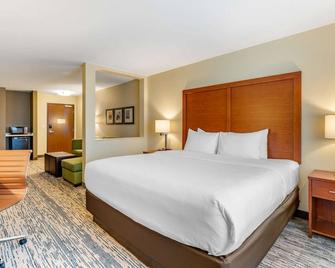 Comfort Inn & Suites West Des Moines - West Des Moines - Bedroom