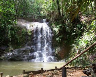 Rainforest Eco Lodge - Suva