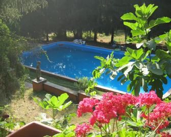 Bed and Breakfast Monticelli - Capranica - Piscina