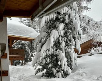 Idyllic apartment in Königsleiten, centrally located close to the lift - Königsleiten - Außenansicht