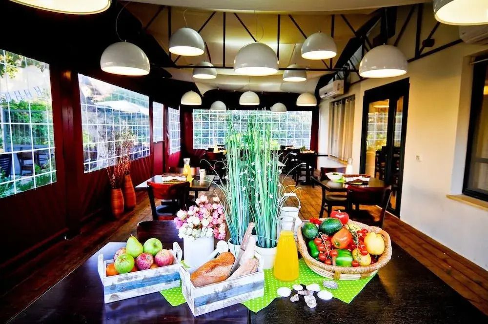 אוליב דולפין וילג'