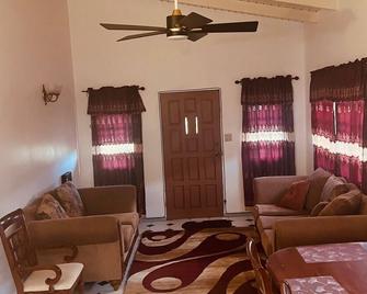 3-bedroom Spacious House, private parking, access to balcony free Wi-Fi & AC - St. John's - Living room