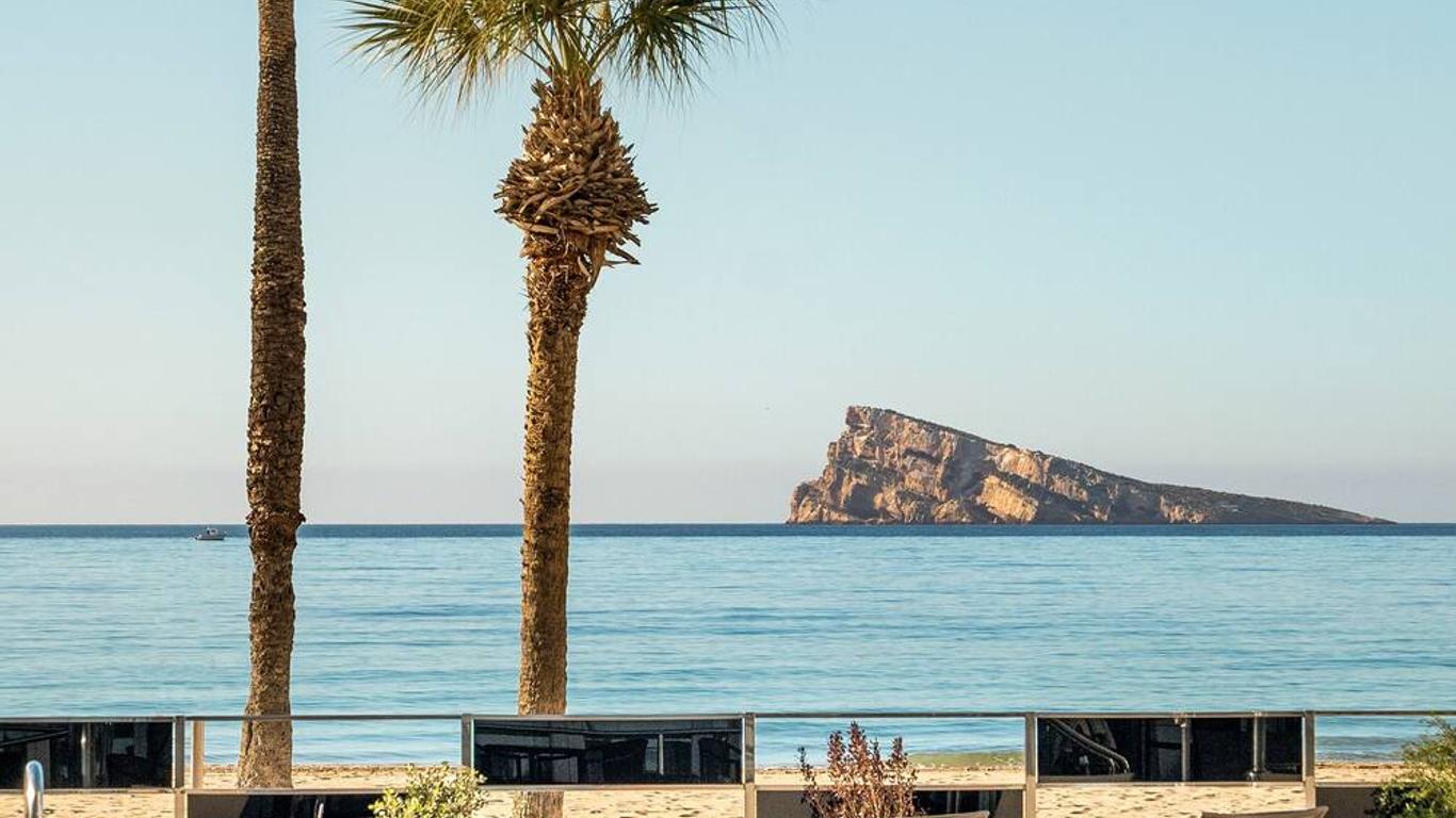 إنسايد باي ميليا كوستابلانكا - لبالغن ريكومينديد