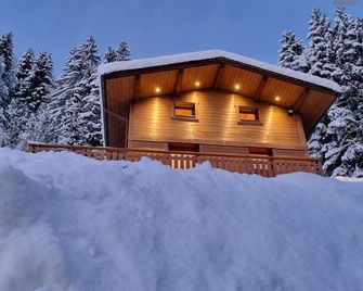 Chalet Socali Le Grand Bornand - Le Grand-Bornand - Bâtiment