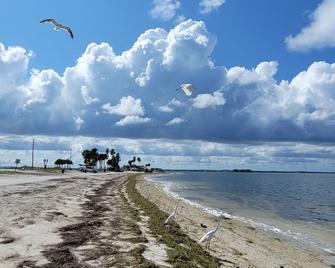 Coastal Condo on Dunedin Causeway! - Dunedin - Beach