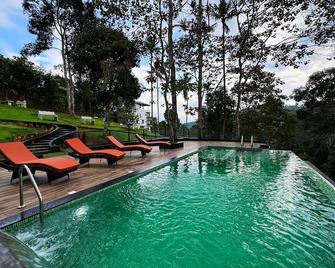 Viceroy Luxury Mountain Resort And Spa - Munnar - Pool
