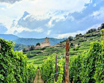 Chambres D'Hôtes Les Ecrins - Orbey - Außenansicht