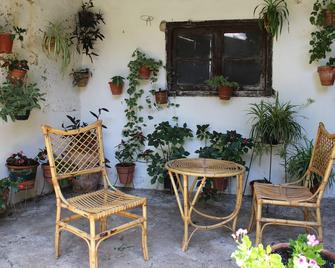 Pension Peperillo - Graus - Patio