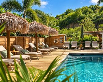 The Forest - Anse-Marcel - Piscine