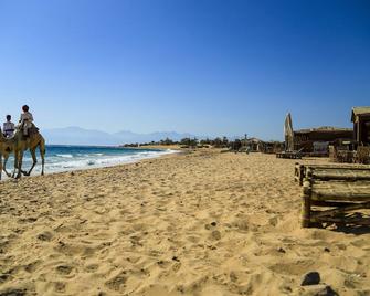 Habiba Beach Lodge - Nuweiba - Spiaggia