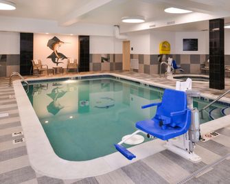 Hampton Inn & Suites Denver-Speer Boulevard - Denver - Piscina