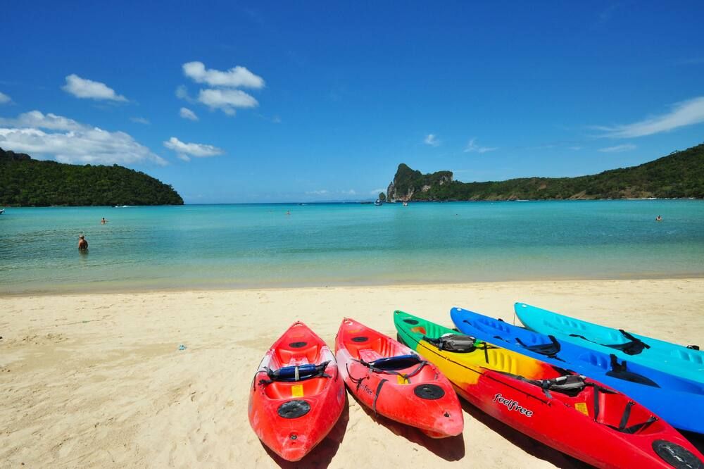 في في توين بالمز بونجالوس