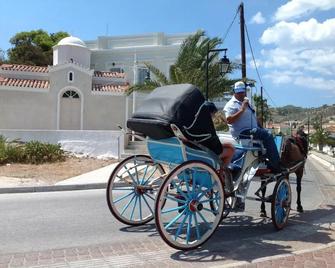 Villa Anesis - Spétses