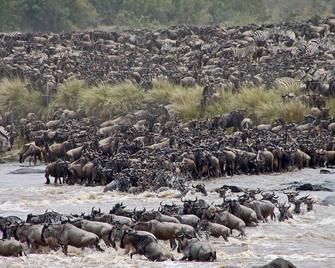 Mara Siria Luxury Tented Camp - Luxury Chalets - Maasai Mara - Beach