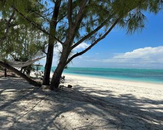 Brand New Beachfront Villa Best Sandy Beach In Tci With Pool Fox Tail Palm Villa - Whitby