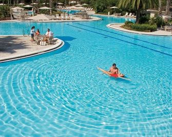 Saddlebrook Resort - Wesley Chapel - Pool