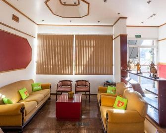 Pousada Água Eterna - Olímpia - Lounge