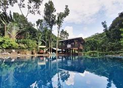 Forest Mountain Cottage in Antipolo - Antipolo - Pool