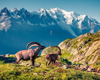 Chamonix Sud - Balme 111 - Happy Rentals - Chamonix