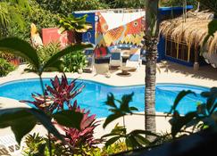 Massai Apartments - Playa Flamingo - Pool