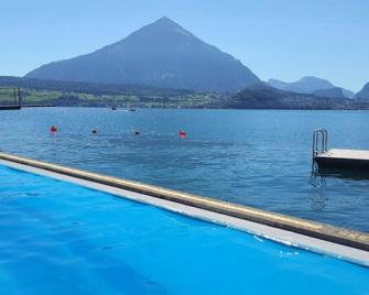 Swisshut Stunning Views Alps Lake - Apart. Innerdorf - Sigriswil - Pool