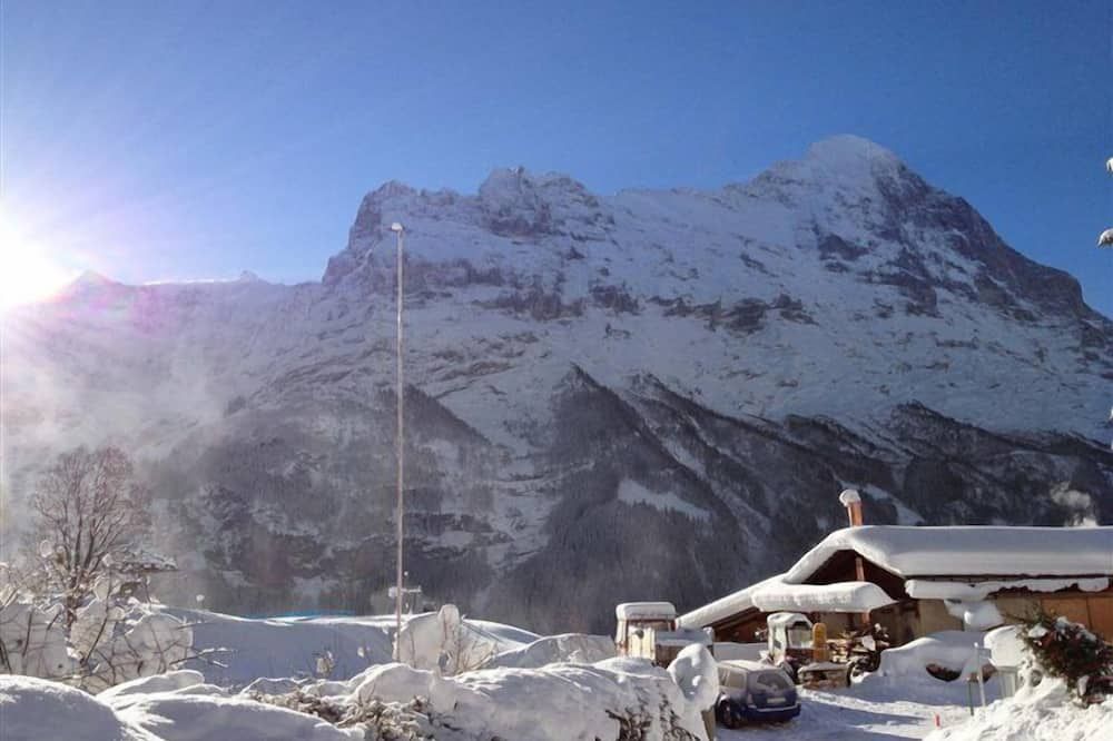 Fantastic view, cosy flat in chalet Bergfink - Grindelwald - Buiten zicht