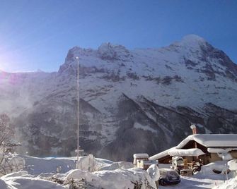Fantastic view, cosy flat in chalet Bergfink - Grindelwald - Buiten zicht