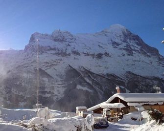 Fantastic view, cosy flat in chalet Bergfink - Grindelwald - Buiten zicht