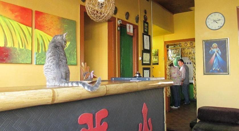 La Gran Via Hostal - מאניזאלס - דלפק קבלה