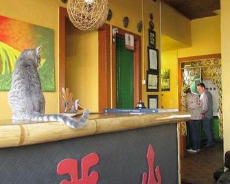 La Gran Via Hostal - מאניזאלס - דלפק קבלה