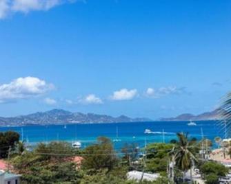 Luxurious Caribbean Suite - 7 - Cruz Bay