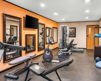 Comfort Inn Holland - Holland - Gym
