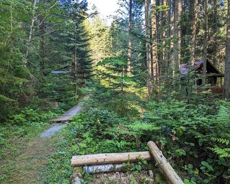 Bigfoot's Bivvy Tent Site ~8 mi to Mt. Rainier Natl Park Nisqually Entrance - Ashford - Widok na zewnątrz