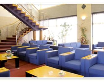 Hikone Art Hotel - Hikone - Lounge