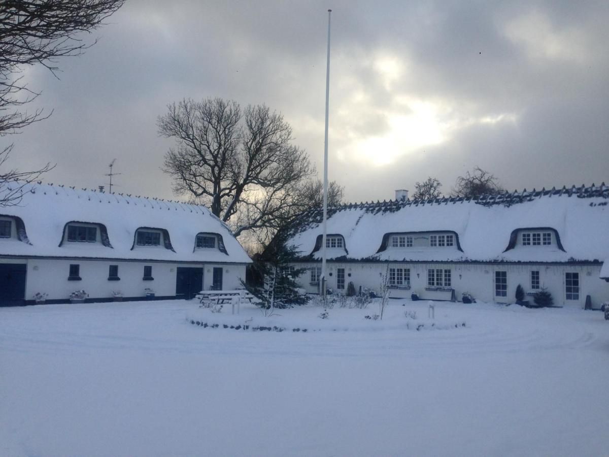 Rane Ladegaard – Ebeltoft