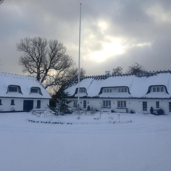 Rane Ladegaard – Ebeltoft