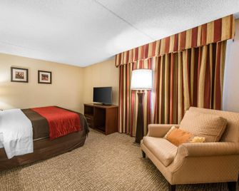 Budget Inn Denver East - Denver - Slaapkamer